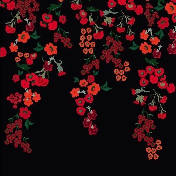 Meet your Posher, Kayle - Picture 1 of 1